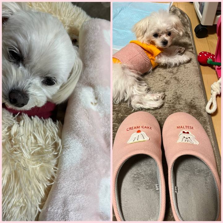 D68fe8ed 4a60 43d7 b496 6557f14a5a94 1705488747896