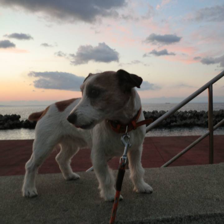 D6900786 21d2 4d55 9793 bea68f15a45a 1553336046114