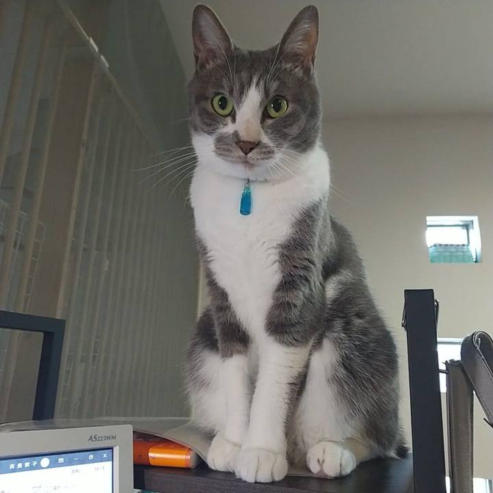 D69029db 51ad 4542 a058 096e2fa44e78 1652772544395