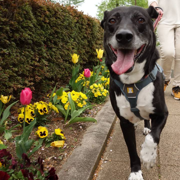 D6904c1a 4720 4f5d 8fec 13241cc0281e 1713233035341