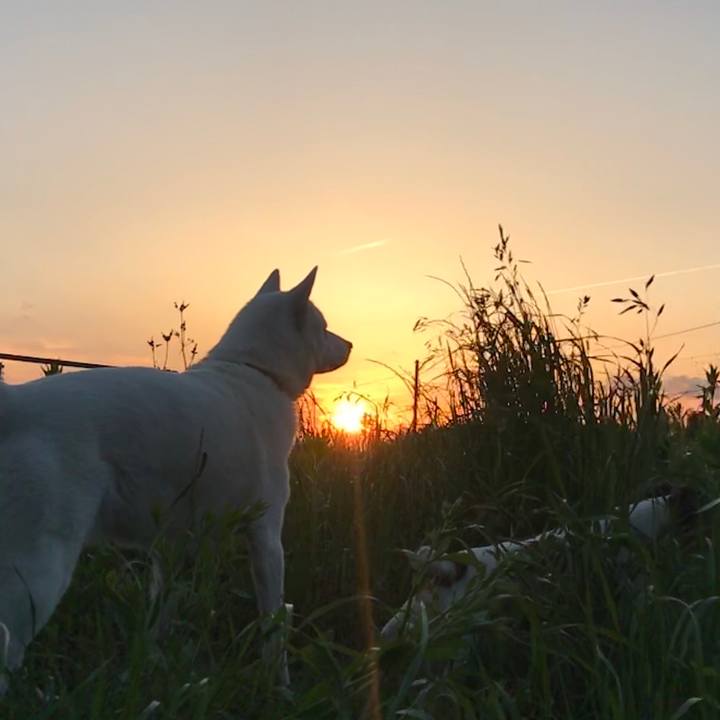 D6906e94 551c 46ad a0e4 e557054e95f3 1525950531434