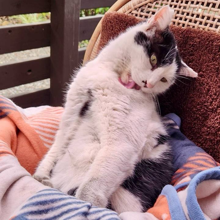 D6906fa5 85b8 40a7 b2e1 5759aa2d5070 1770291320545