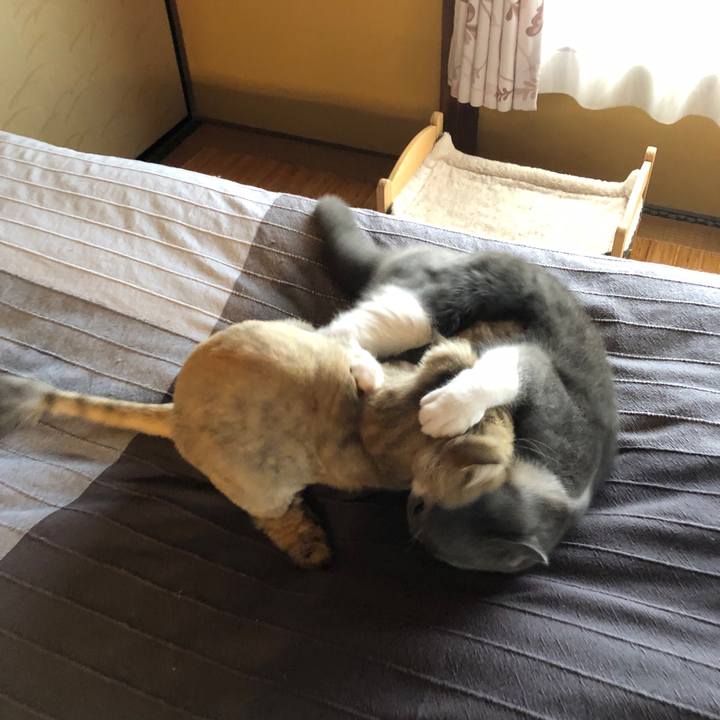 D6907b6f af93 443e a6b9 07723a8ad6b2 1561251590448