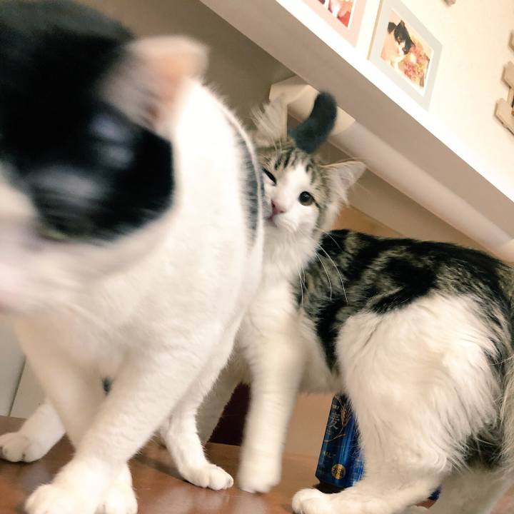 D6908f3a de96 466b 8fc4 109c02e448d1 1518565767368