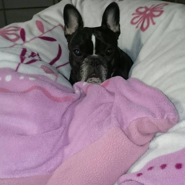 D6909444 6dee 4277 8694 ef6bc2fd81cc 1513201910933