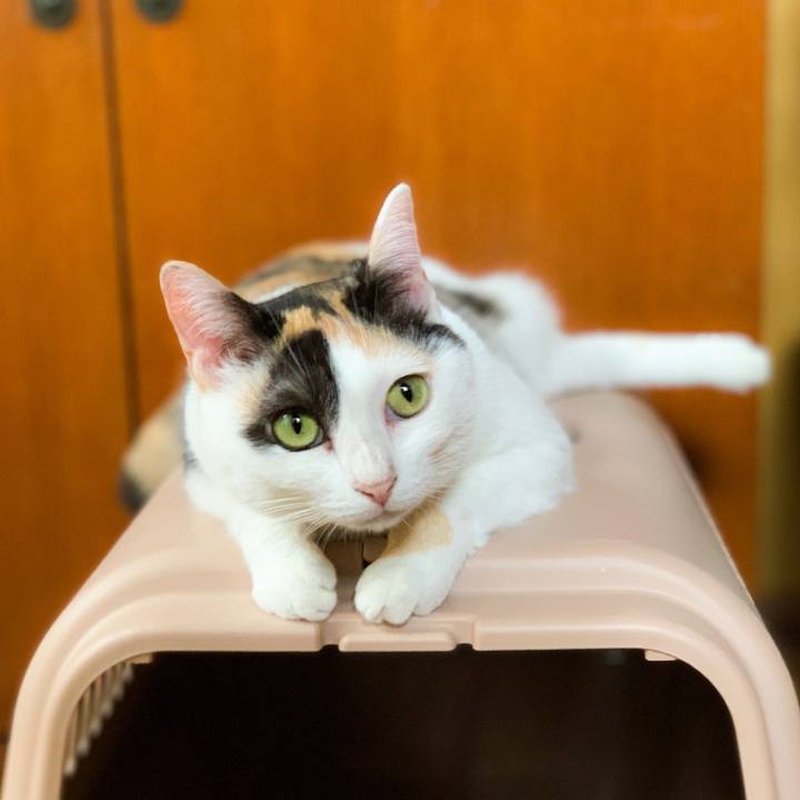 D690ddda 24e7 4076 8d8b 5b380def9db0 1567910737683