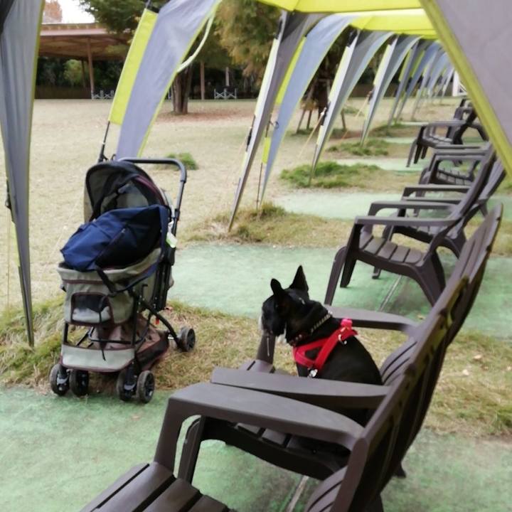 D690ed10 97af 4664 b8ed 9c5a58a3531f 1605746837154