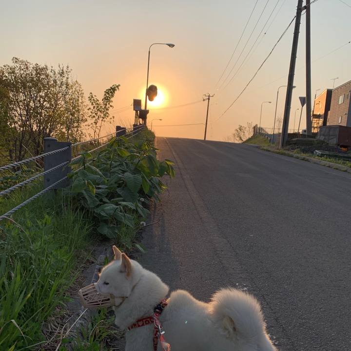 D6910de6 4e4d 4b76 8db9 bfdc1ca6f410 1557358729426