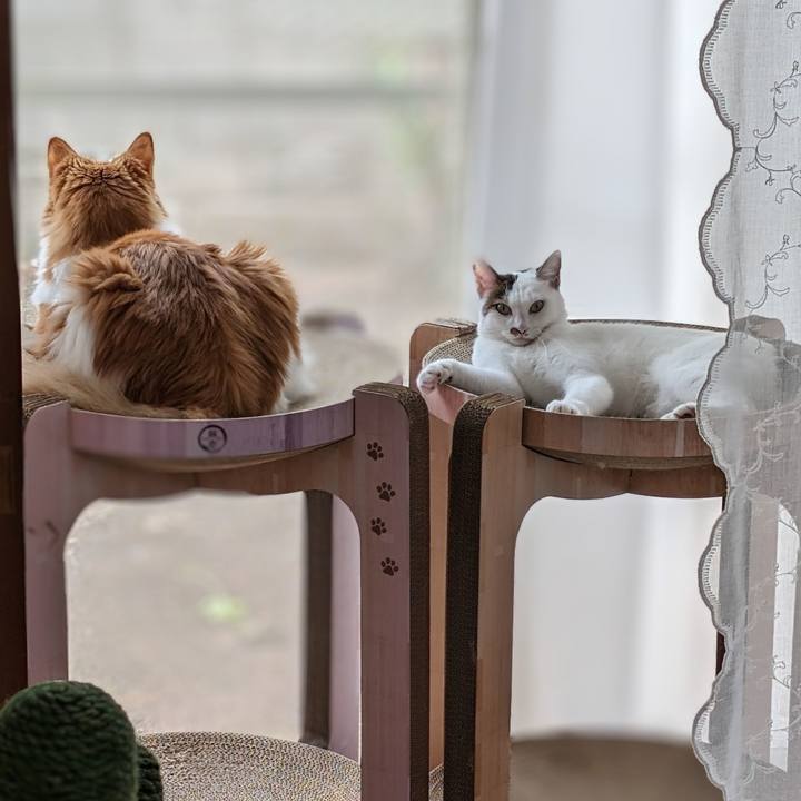 D6912308 7205 4206 90d3 f99c9b73c56b 1699277714737