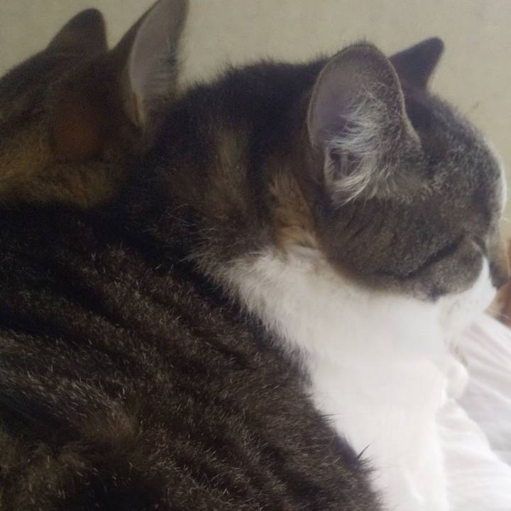 D6914603 a136 4f5d 8892 932a16203d3e 1681614499675