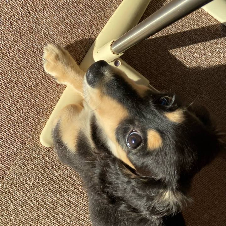 D69199a6 a09d 49f8 aa42 73f0b05d3cbc 1669504310889