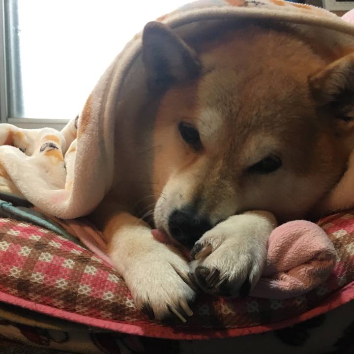 D691b598 0925 4816 9635 2ef1ffd5cc5b 1611356815097