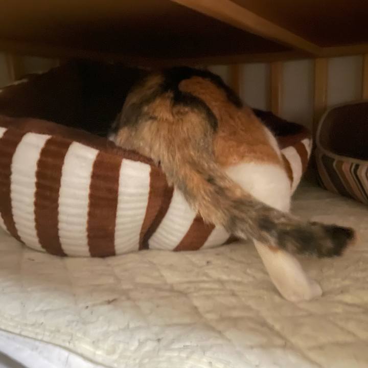 D691c262 10c8 4fa0 9080 4f608db74811 1698064540175