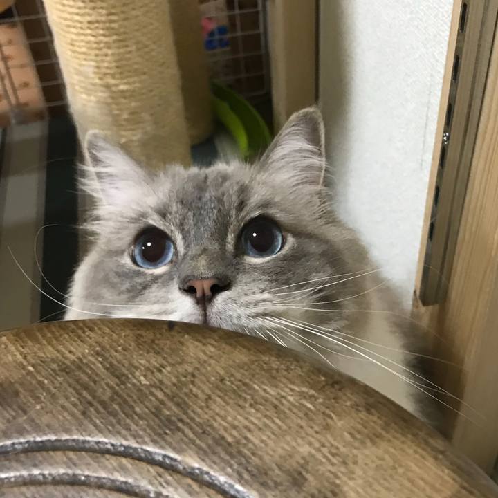 D691c449 6995 4bf6 8076 39ee27170fb8 1535109484832