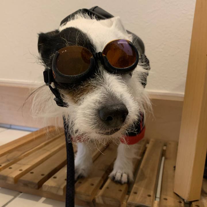 D691ded3 e998 4b17 b87c 44f0e50ca612 1711931654603