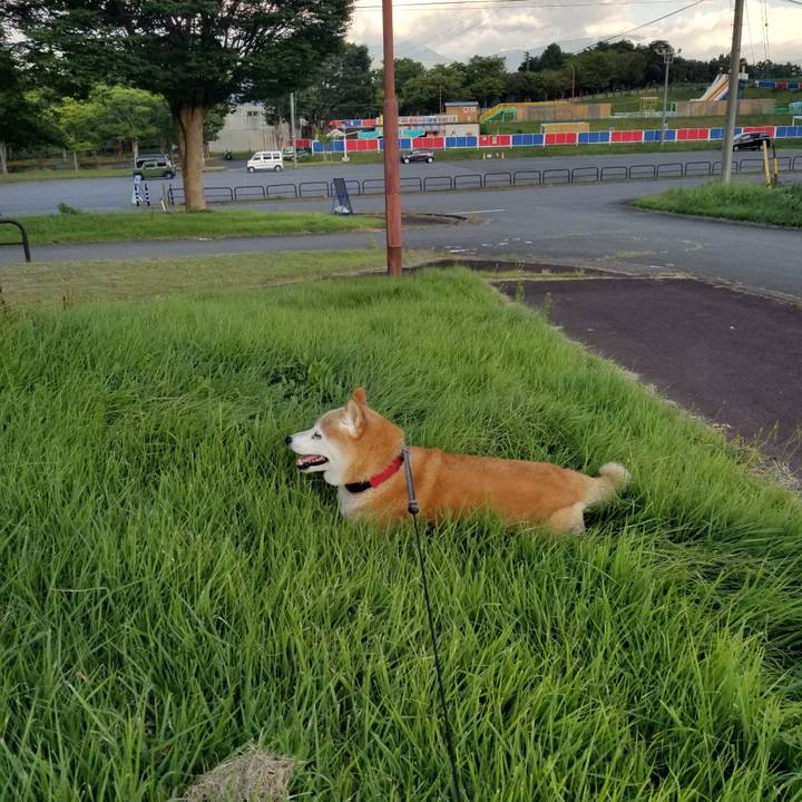 D6922f8b 9467 42b4 9fcb b9865512405b 1723366532305