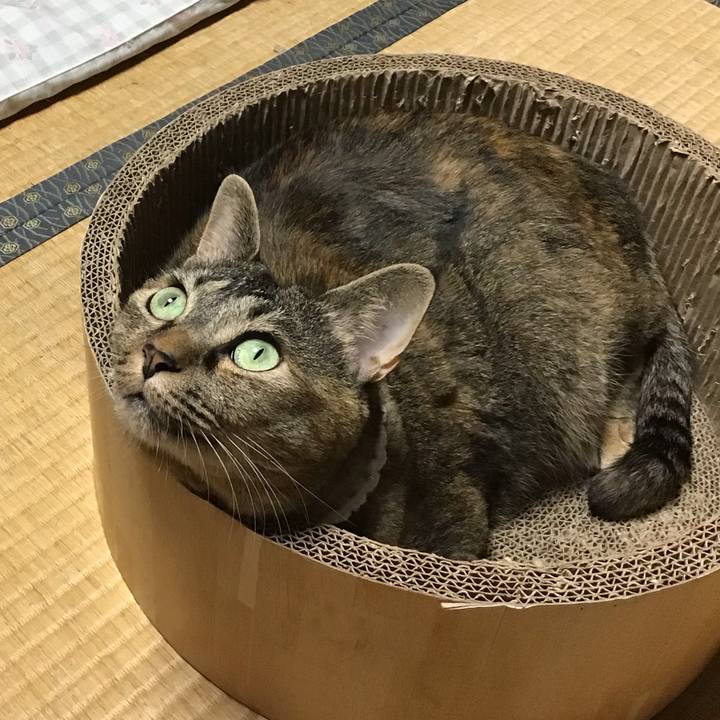 D6924445 fd32 45e7 8610 904eba52040f 1724667598315