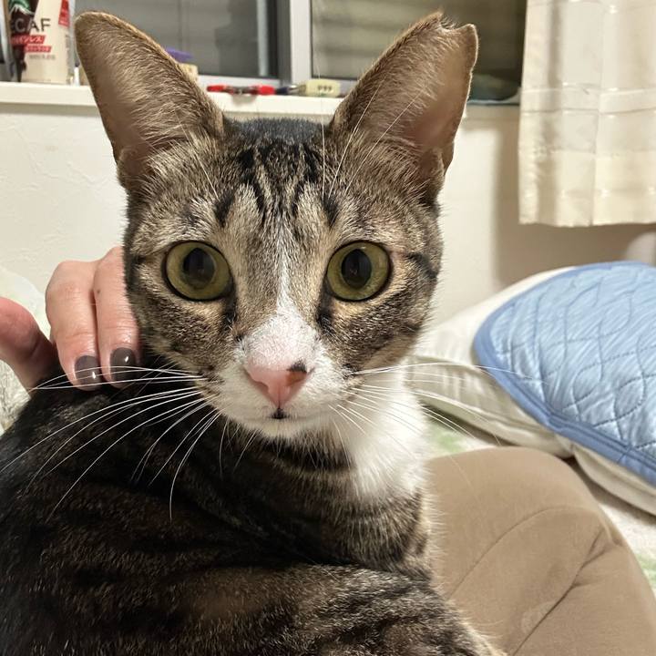 D69259d2 f7d8 41cf b4aa 727419207a2f 1771941968613