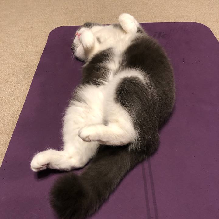 D6925d27 9688 4ab5 8fe5 207a563cf31f 1615507781345