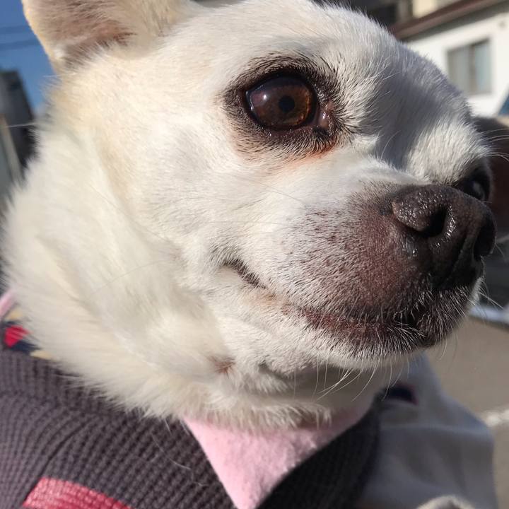 D692baf7 a5c6 4959 acef 331d028d4030 1603801230935