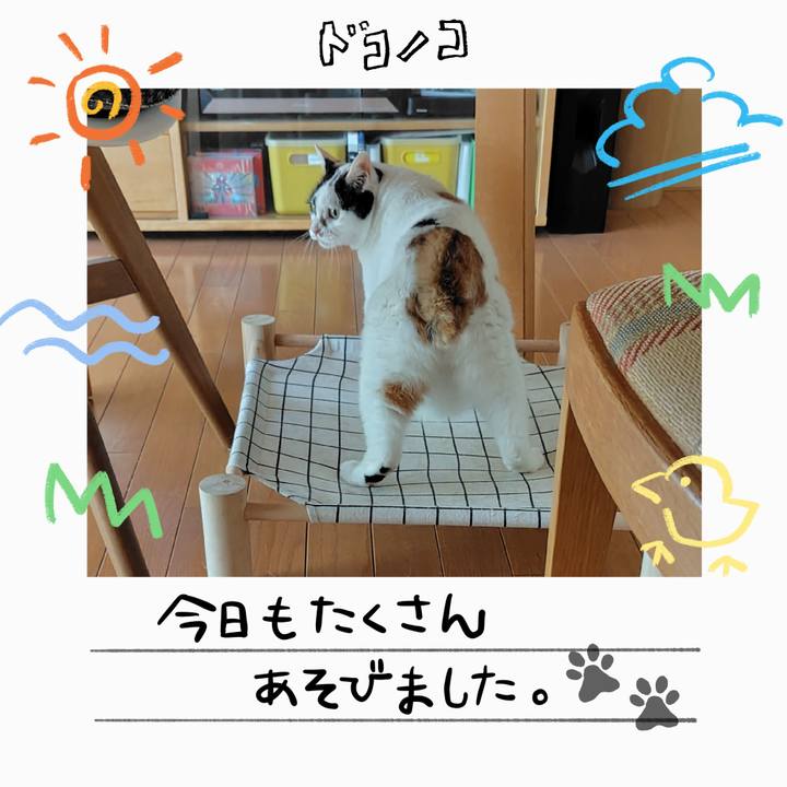 D692c1c4 9c9c 4c28 864d ed2eb08eab61 1755064381630