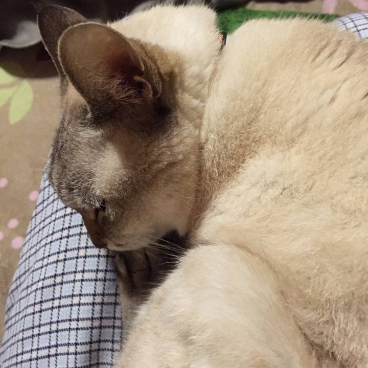 D692dcaa d256 4b63 ae99 decb47e161e4 1542719938408