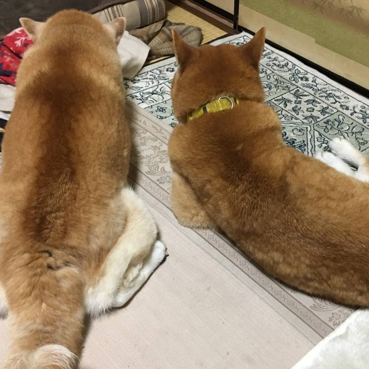 D692eefc 44c0 4269 9632 9cfa0c1580fd 1525604695557