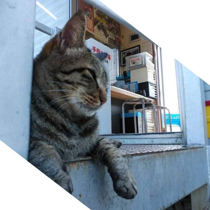 D692f96a 70f4 4fe8 888a e0db94ed37ac 1630055342946