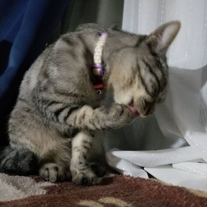 D6932681 c3f5 495a b9c2 a61249a21997 1680354965743