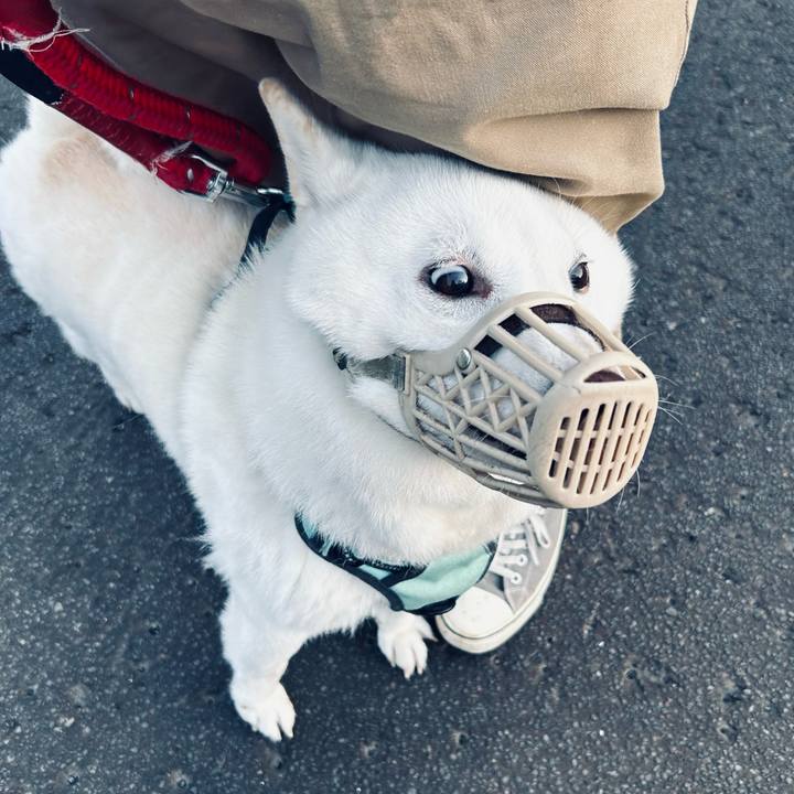 D6935211 b841 4a95 98dd 88c2d414fa01 1698704100925