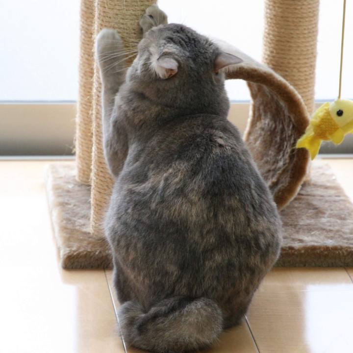 D69358d0 7e37 40b6 9f9b d21b67929293 1539152321260