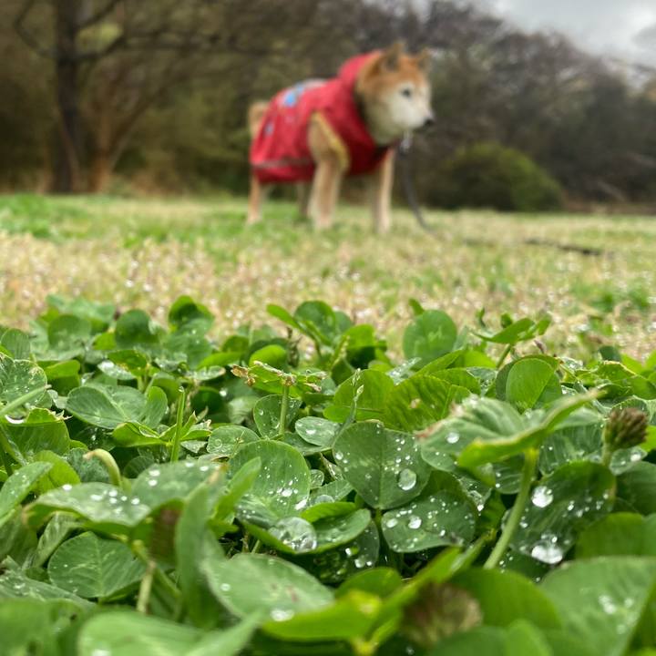 D6938edb ed51 491d 8a1f c5cb42d77332 1774512623554