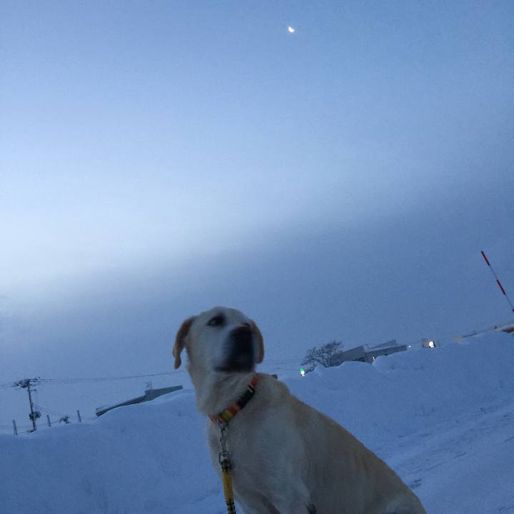 D693be66 e079 4690 8b02 343f9510db9f 1578198796225