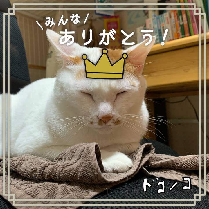 D693c57c a066 4373 bc66 b0d5707a5bc1 1622911801253