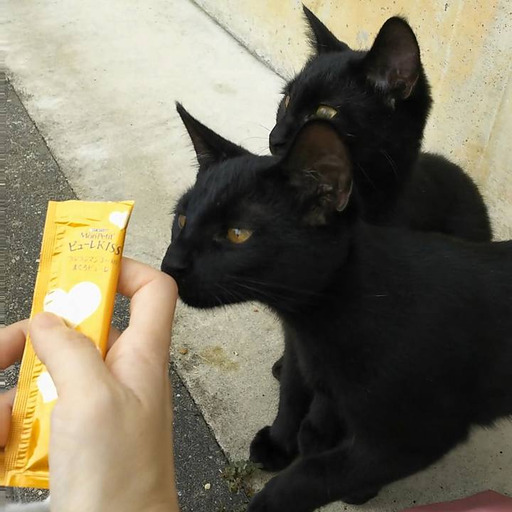 D693d0ba ddd4 4412 9e8c 4ee242c9752b 1539144277044