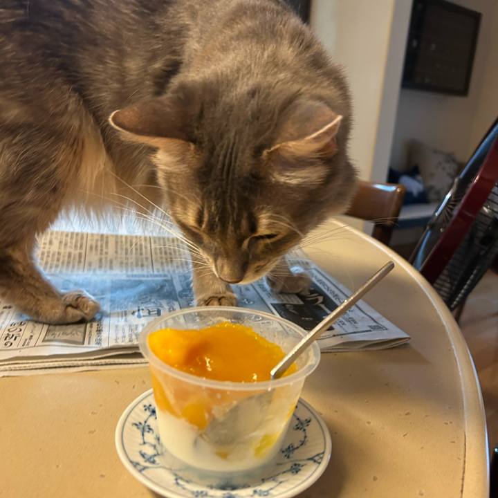 D6941337 deea 4fec a79d 52dd25177c0e 1787747817922