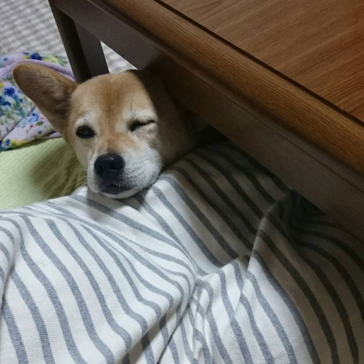 D6943267 ab7a 4ed6 ace5 102e5ee720f7 1529592657857