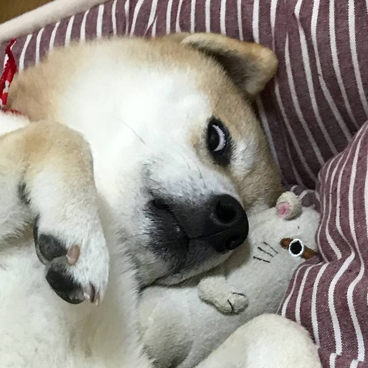 D69440b5 49f0 436f 800f 64f1dff391ee 1524394312119