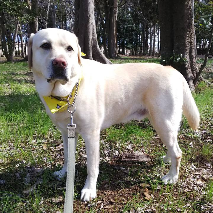 D694548d fdb3 429a a93d 903ca64d4307 1584407990143