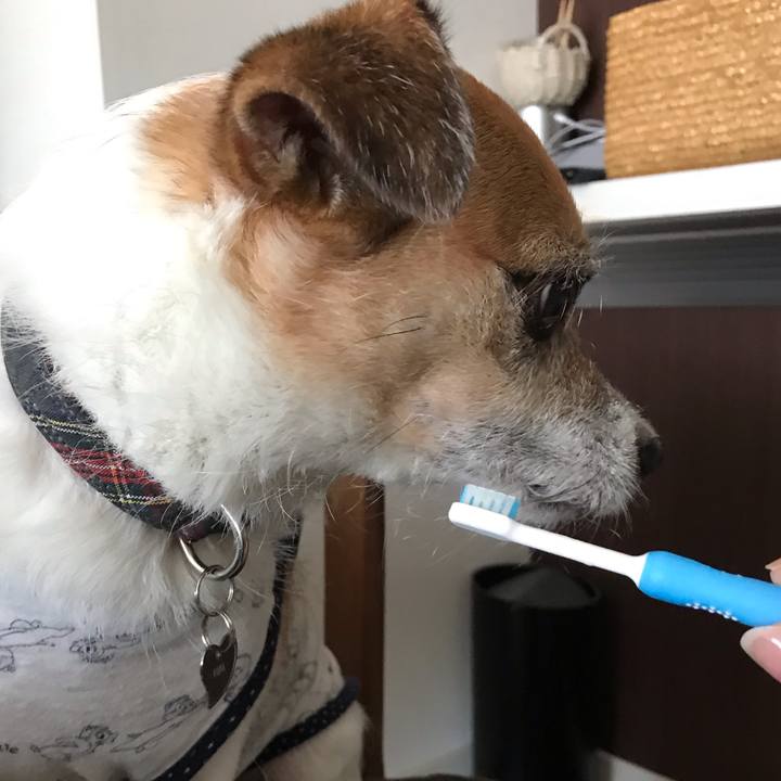 D6946d77 96a2 4afa bb9e 640a215359c7 1570269337298