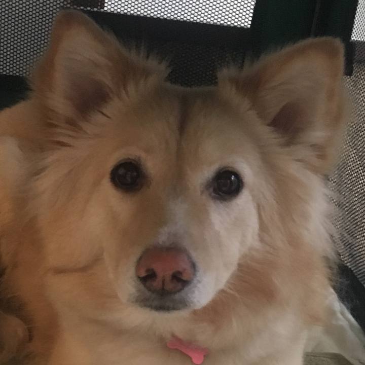 D69479dd a0f8 46f3 87ec 3e975ea4bdfa 1522674132356