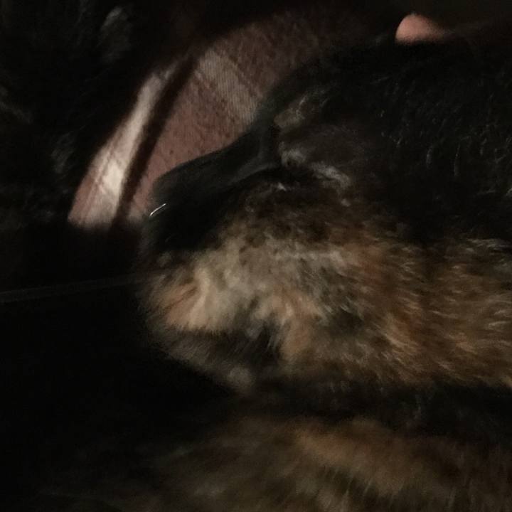 D694ab11 a7f9 41a6 97b3 61310bda9a64 1590760274392