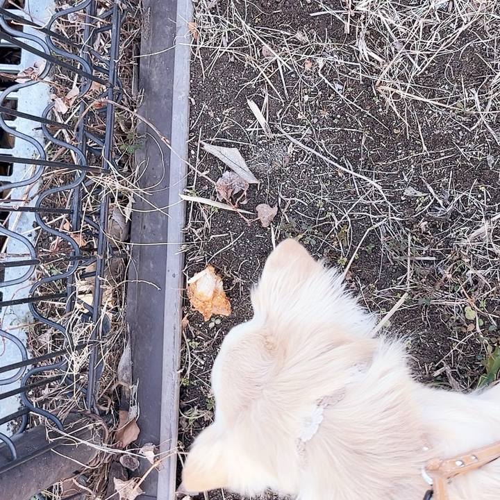 D694e533 5310 46e7 a0e5 8d4d89f74e93 1737362047459