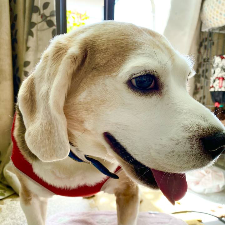 D694e97a f447 45a7 918e 43ec150513d8 1616989564317