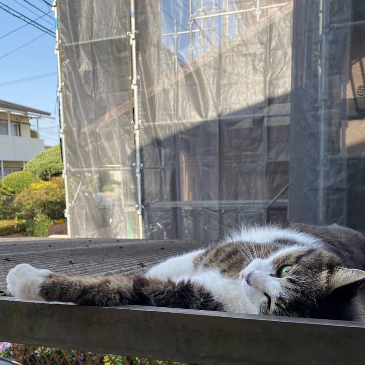 D694f0d8 2779 4037 b6d5 f95ca88a2a4e 1649667938156