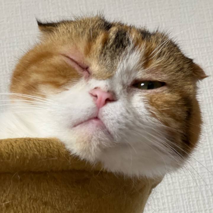 D694f2e6 75b6 4129 bc95 3cd765d822a4 1665909166242