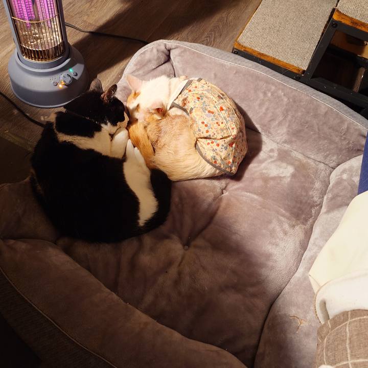 D6950f83 05b8 4c6d b19c 41e1890e1248 1771409190178