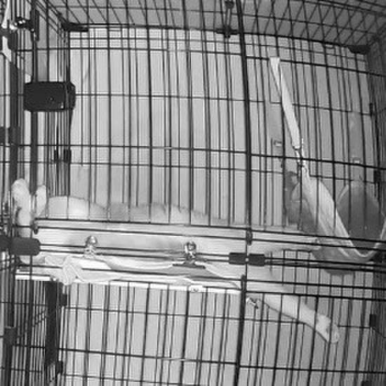 D6952448 95e3 4c48 a3a6 e79f643d5a65 1757537931829