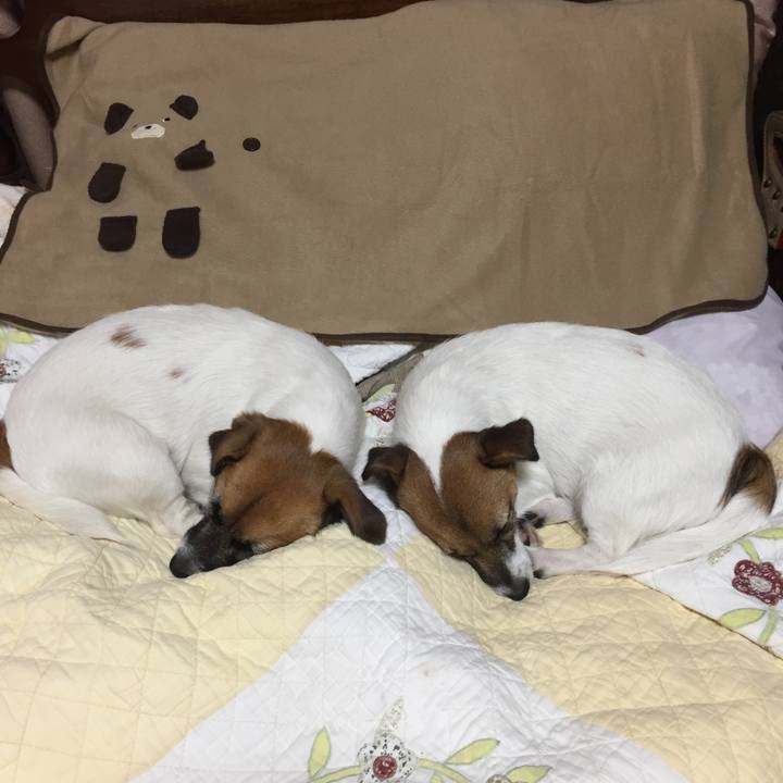 D6952e4c ee01 4e46 b04b dff3abff2b7f 1512227057992