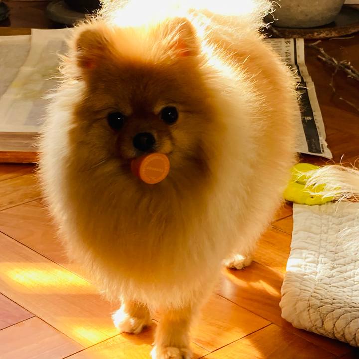 D69531c0 f037 43cb 8adf 35d20cb64288 1769819878234